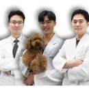 수의골관절학회 이미지