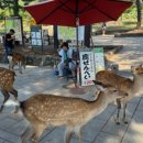 (주)꼬치나라 네이버블로그