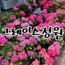 경남 고성 가볼 만한 곳 대형 수목원 그레이스정원 참고사항 및 가족여행 후기