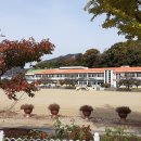 황간초등학교 | 남성근린공원 (황간)