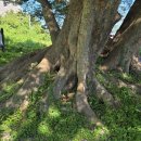 당산농원 이미지