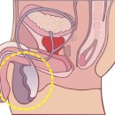 정한수비뇨기과의원 이미지
