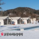 글램핑장주변 | 경기도 포천 글램핑 포천더세븐글램핑 이동 글램핑장 추천 썰매까지!