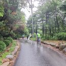 치악산둘레길 3코스 수레너미길 이미지