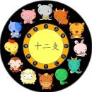2025 회장배 띠별 대표선수 추천 이미지