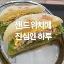 🥪 써니테르 역삼 – 치킨 브레스트 샌드위치 + 소프트 오믈렛 후기