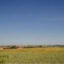 자연공인중개사합동사무소 이미지