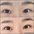 브로우블라썸 | 시흥대야동속눈썹펌 브로우블라썸 블랙틴팅펌 U컬 후기