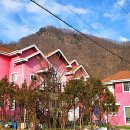 아이디펜션 이미지