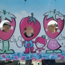 충효태권도(한들물빛관) 이미지