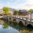 단원미술사거리 교통섬-시외버스터미널 | 경주·진해·거제 봄꽃 여행 다녀온 후기