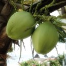 비치블루 이미지