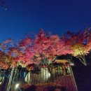 정현아카데미학원 이미지