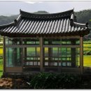샛집 이미지