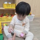 국공립푸른숲어린이집