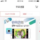 펫마인드 이미지