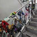 강릉청솔공원 | 강릉반려동물장례식장 강릉동물장례식장 강릉청솔공원 강릉펫사랑