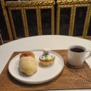 마리안스 이미지