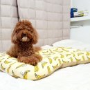 허니옷방