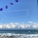 속초곤지해물뚝배기 | [속초]반려동물과 함께 하기 좋은 속초 팔도전복해물뚝배기후기