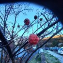 의귀새마을금고 이미지