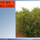 심볼리즘 이미지