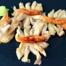 연체동물 - 이매패綱 - 돌조개目 - 돌조개科 - 큰이랑피조개 이미지