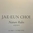 종로 국제갤러리 전시: 최재은 &#39;자연국가&#39; 전시관람 후기 (입장료/예약/주차)