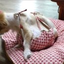 봉희농장 이미지