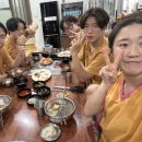 해가뜨다 이미지