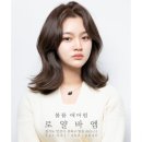 일동미용실