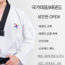 국가대표 S 태권도 이미지