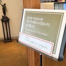 열명의농부채식당 | [충주 유기농 채식 뷔페] 열명의 농부 인도 고객사와 방문 후기
