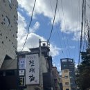 [서초 맛집] 회식하기 좋은 진대감 교대점에서 차돌에 관자 싸먹기