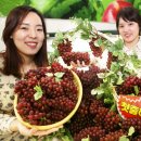 ㈜농협대전유통 이미지