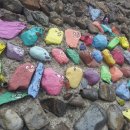 안동목장 이미지