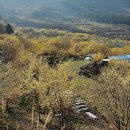 한별프라자 이미지