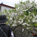 수산초등학교 병설유치원 이미지