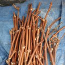 블랙스타 이미지