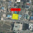 상가양계 이미지