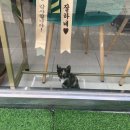 핫플헤어 이미지