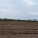 제주 올레길 12코스 이미지