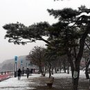 동막리부부