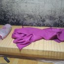 경희환경 이미지