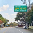 홍이삼이네 | 풍기 가볼만한곳 영주인삼박물관 무료관람 하기