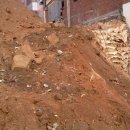 베드로 농장 이미지