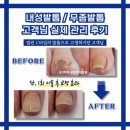 네일바다 이미지