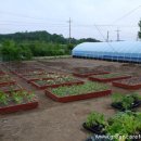 재규농장 이미지