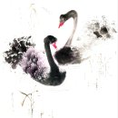 Black Swan 이미지