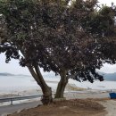 우목리경로당 이미지